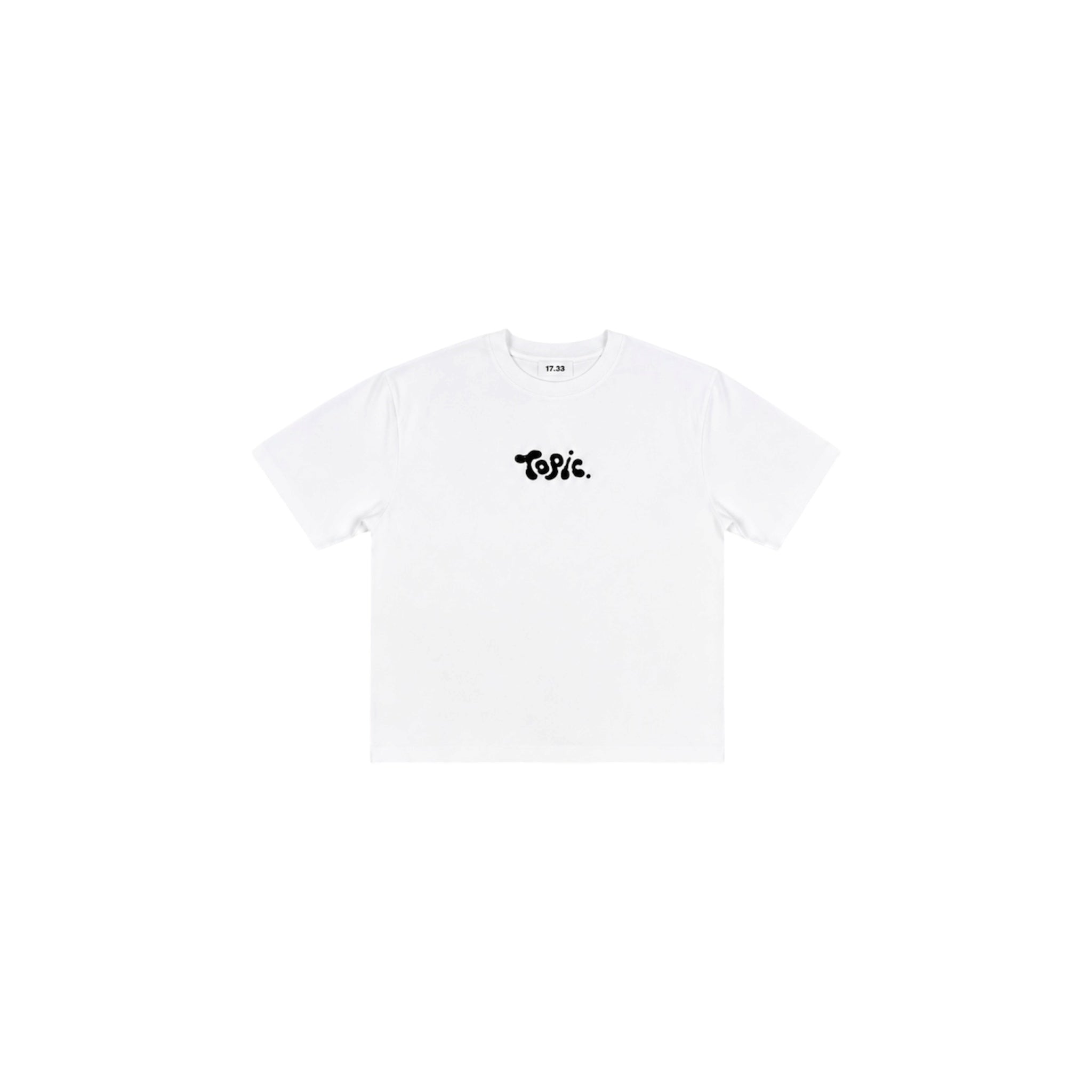 T-SHIRT 17.33xTOPIC